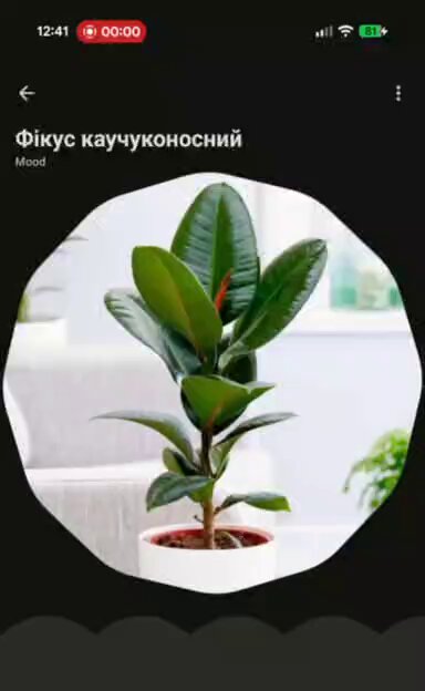 Tweet media two