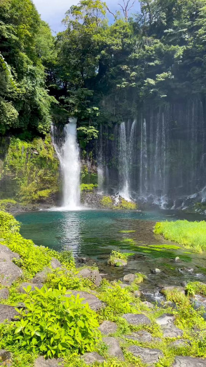 静岡県の話題や全国の最新ニュースをお届けします