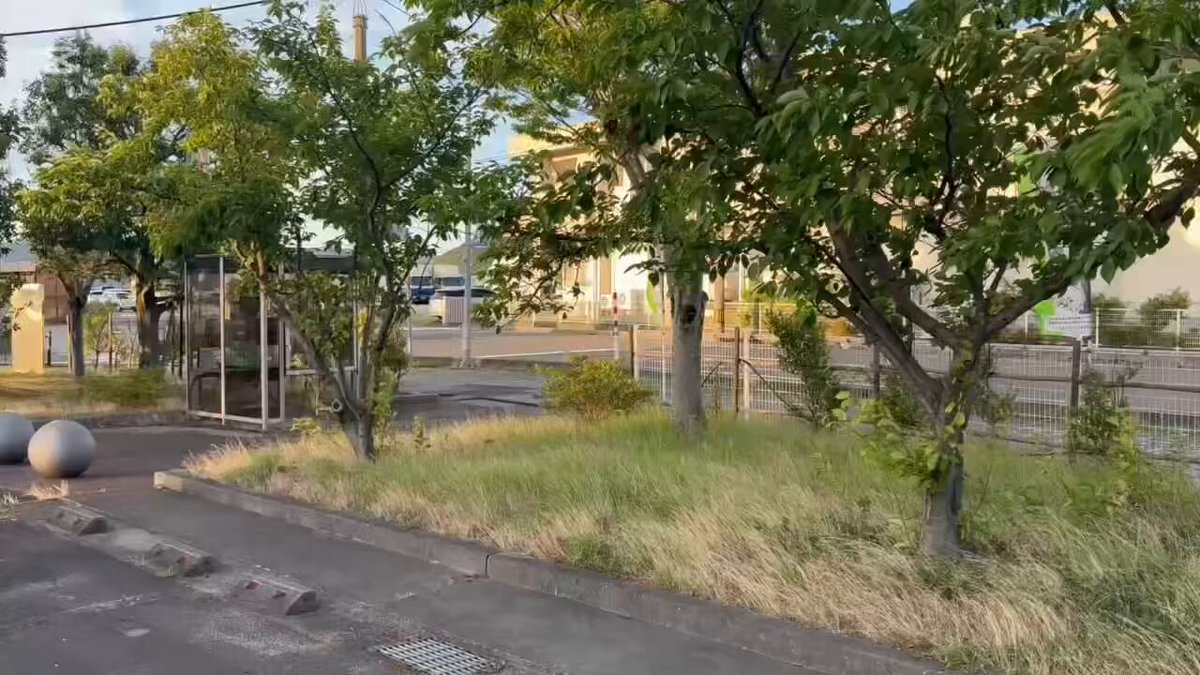 AriaJasuruHasegawa on X: 