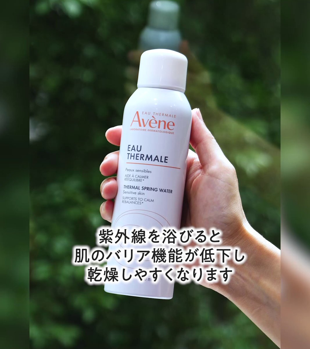 アベンヌ公式 (@AveneJapan) / X
