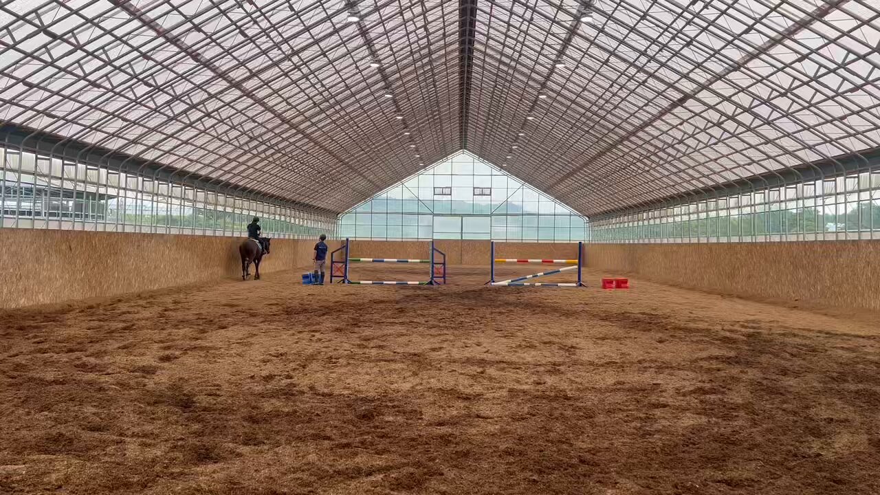 リアルダービースタリオン公式 (@realdabista2525) / X
