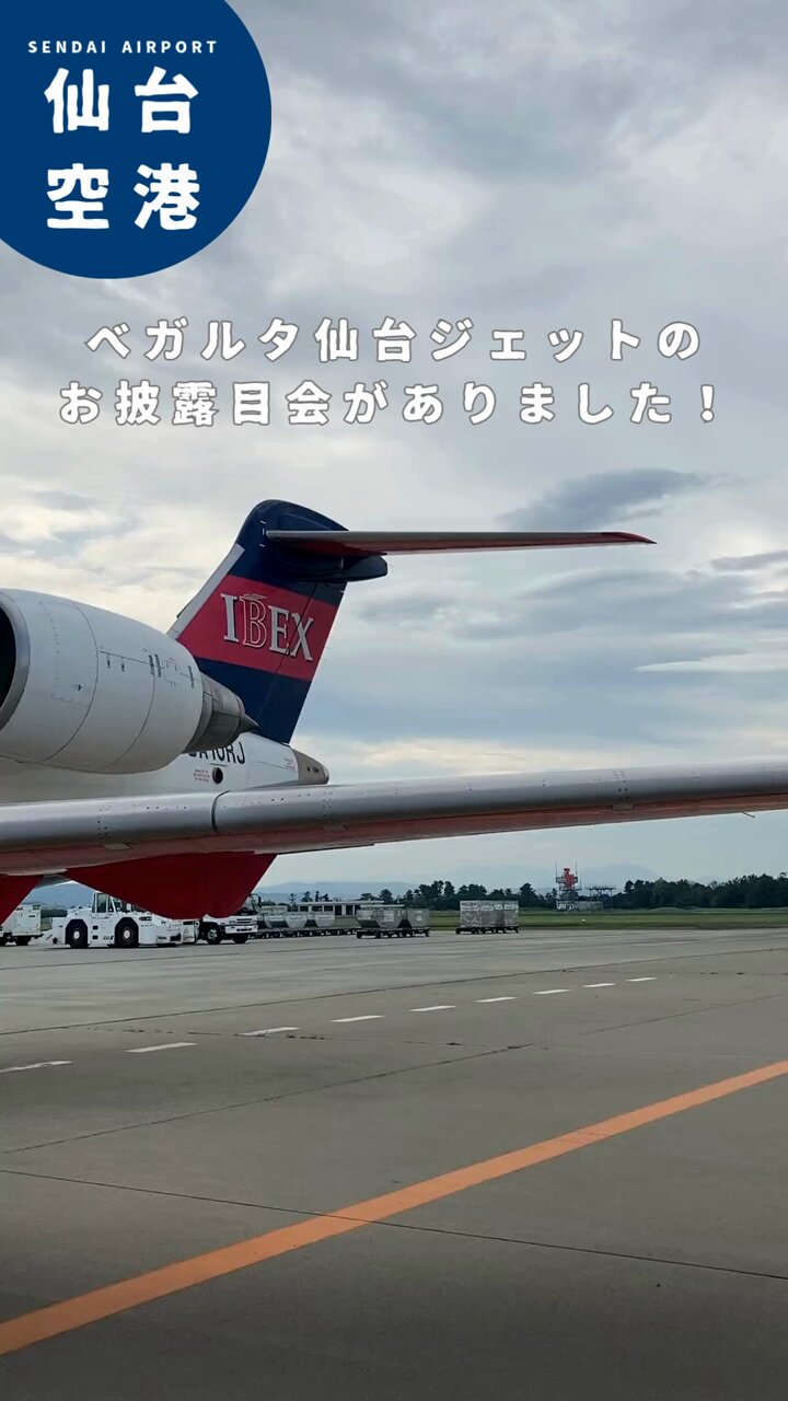 仙台空港記念Suica 使用可能 仙台空港記念Suica 使用可能 91+2Cp8E7LL._UF350,350_QL80_.jpg