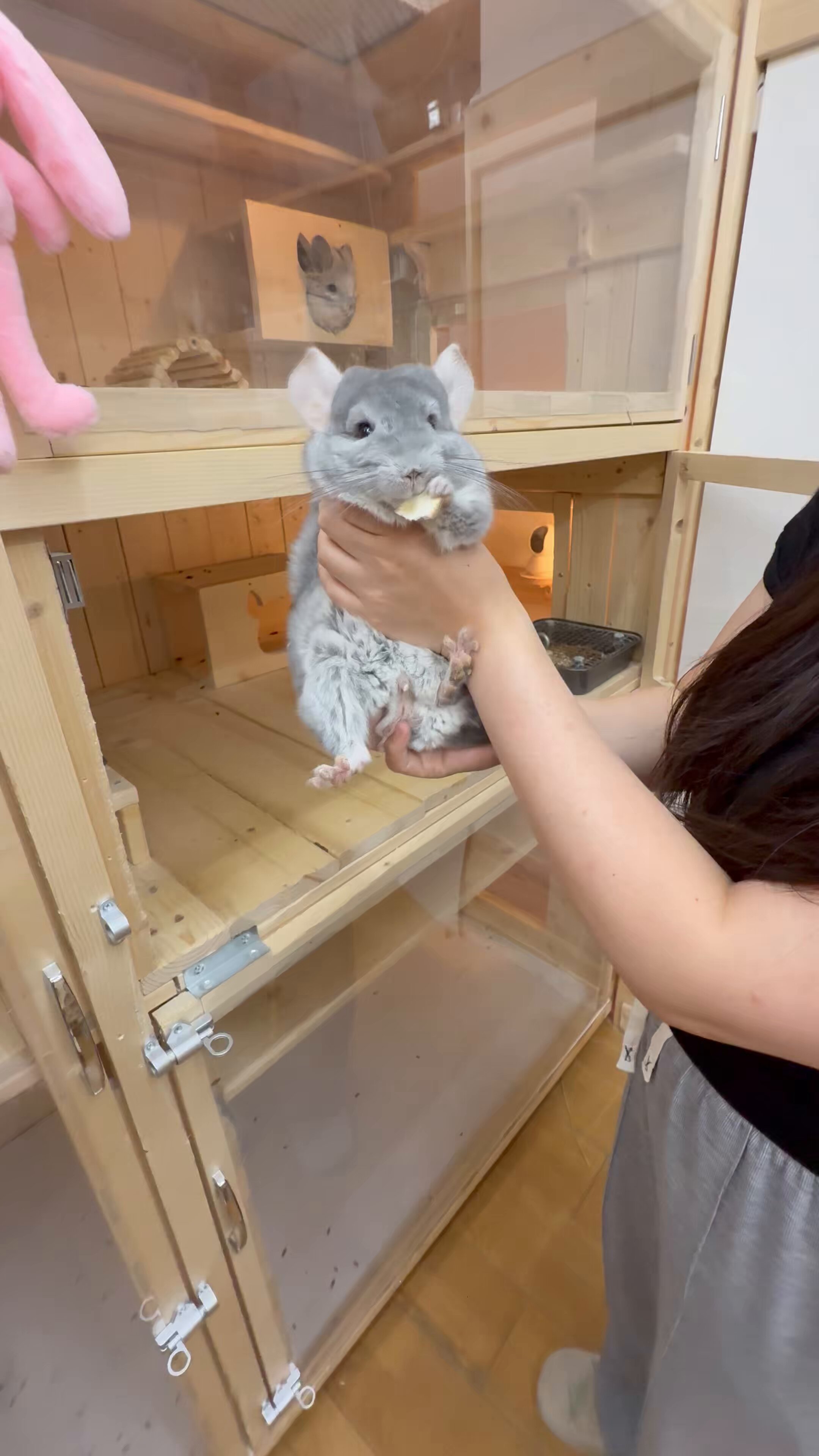 チャーム｜女の味方♡｜宝石質ルビーなど使用のねこるご×レインボーサンストーンなど チャーム｜女の味方｜宝石質ルビーなど使用のねこるご×