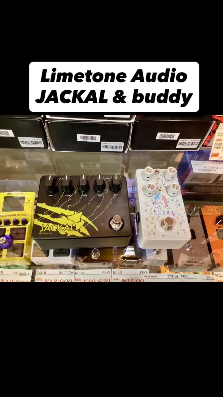 Limetone Audio buddy ディレイ buddy | Limetone Audio