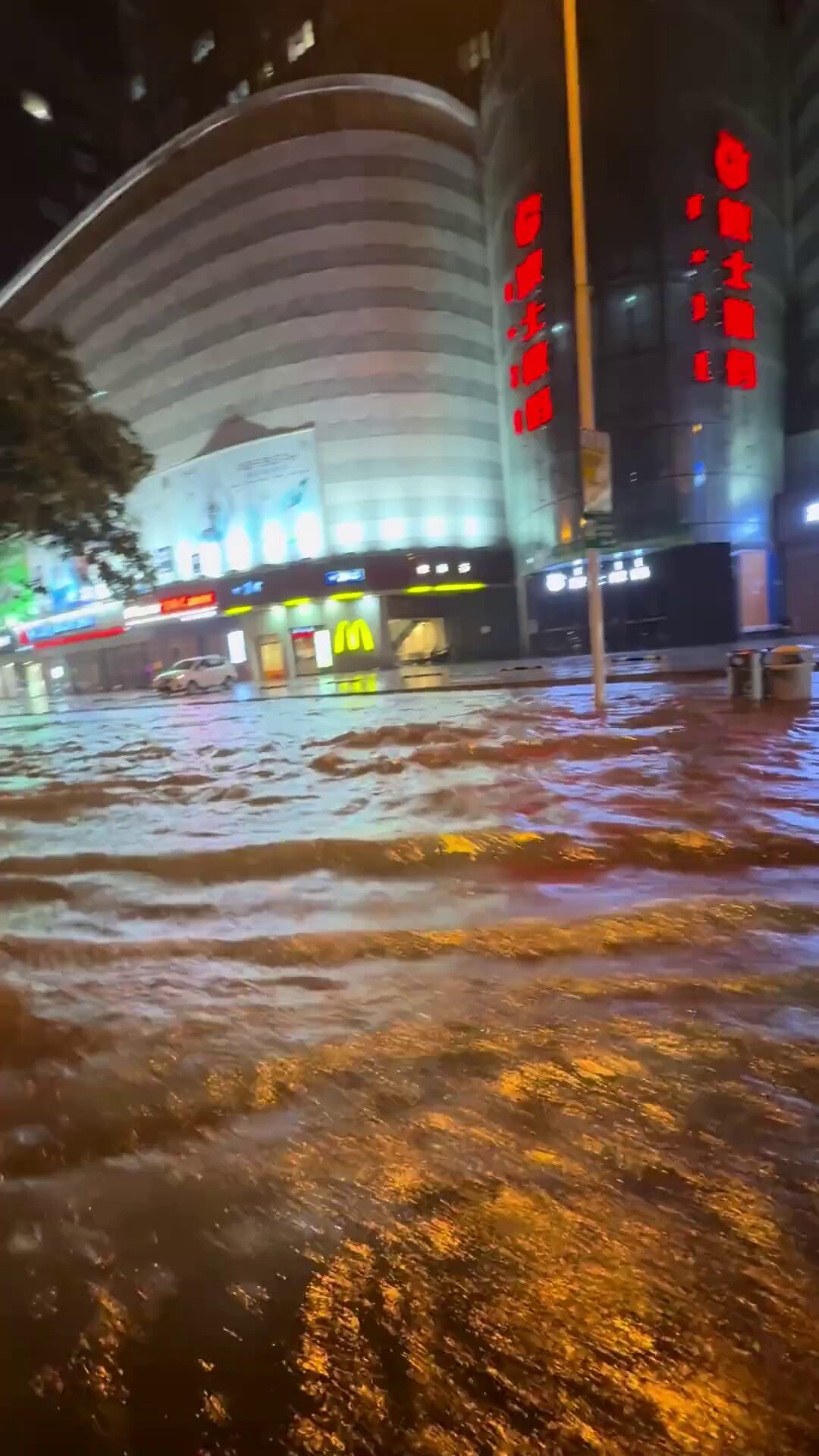 溢れかえる岸辺 Flooded Strand x2 NEXTA on X: 