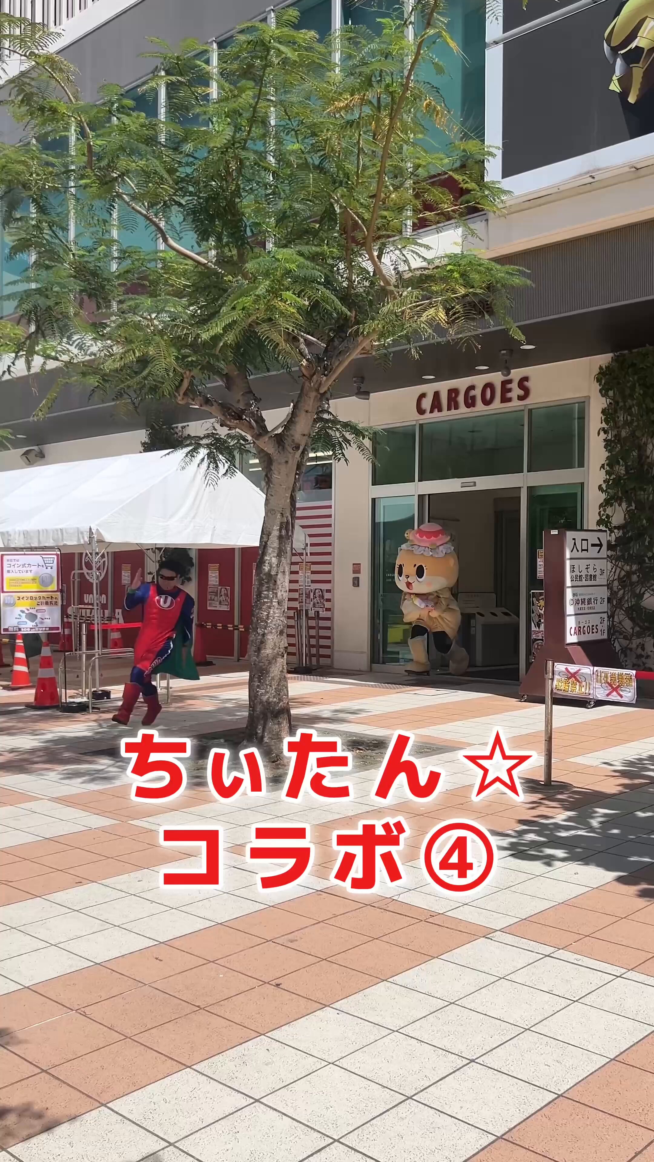 ★ちーたん★様 ちぃたん☆／Chiitan (@chiitan7407) / X