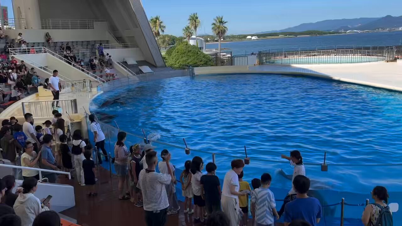 マリンワールド海の中道【公式】 (@marine_uminaka) / X