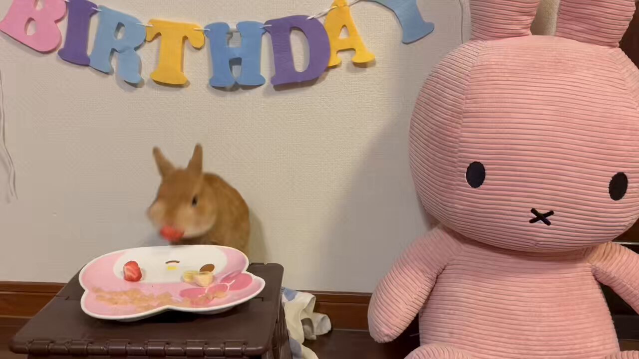 ぶらん on X: 