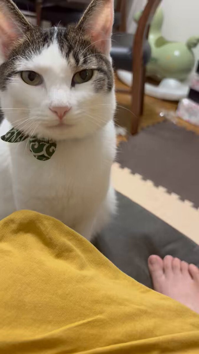 ふくちゃんです 放課後デイサービス ふくちゃん