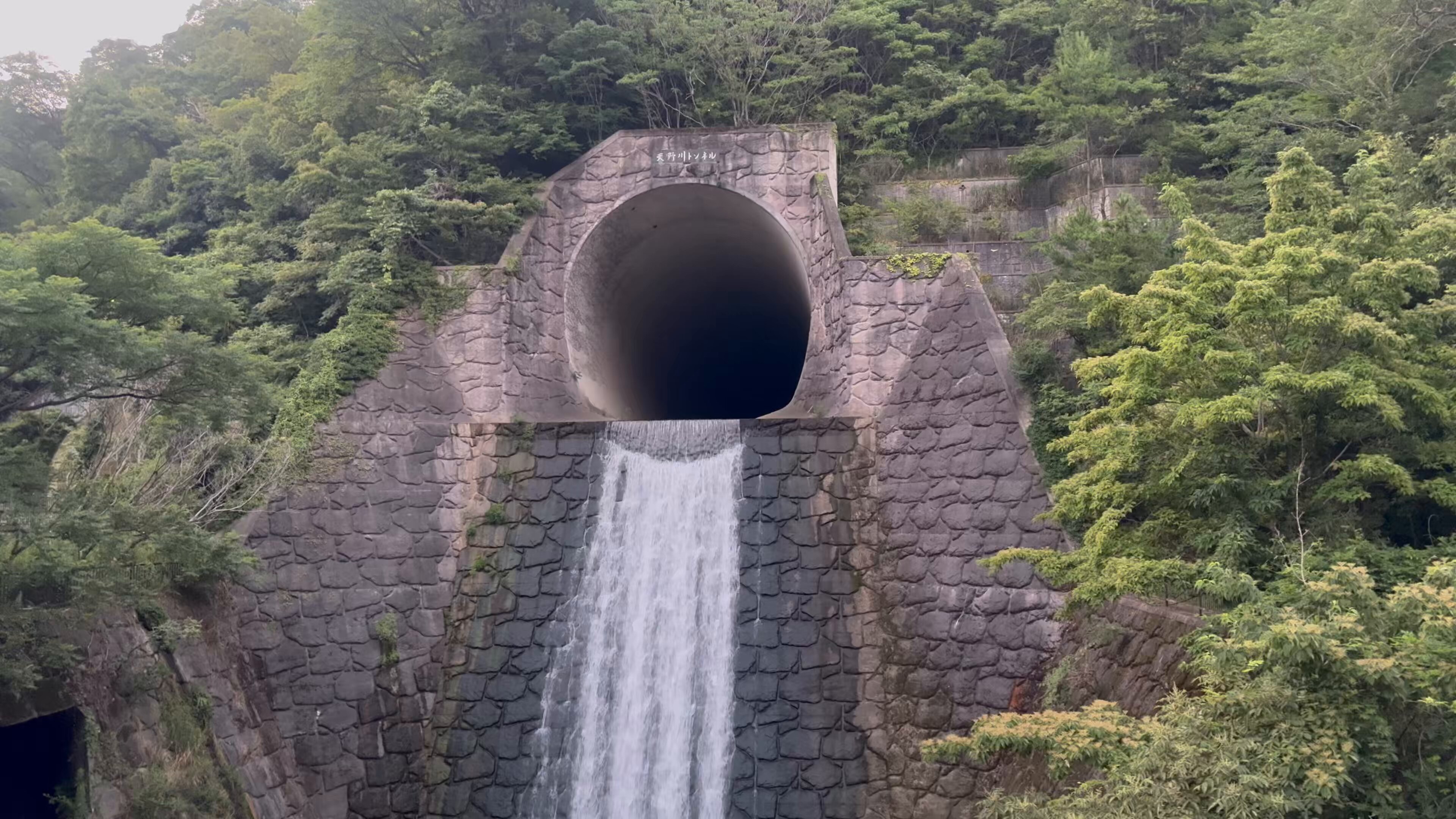 愛のトンネル GMyVn7LboAAlLHH.jpg