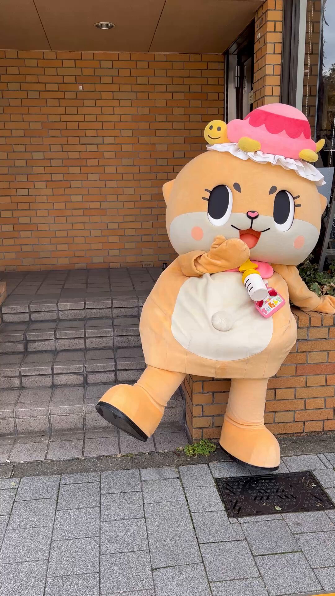 ちーたん Laure (@laure42619688) / X