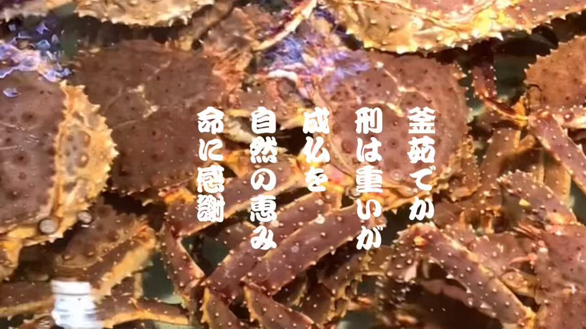 酒の肴 51Fwei+PLwL._AC_SY200_QL15_.jpg