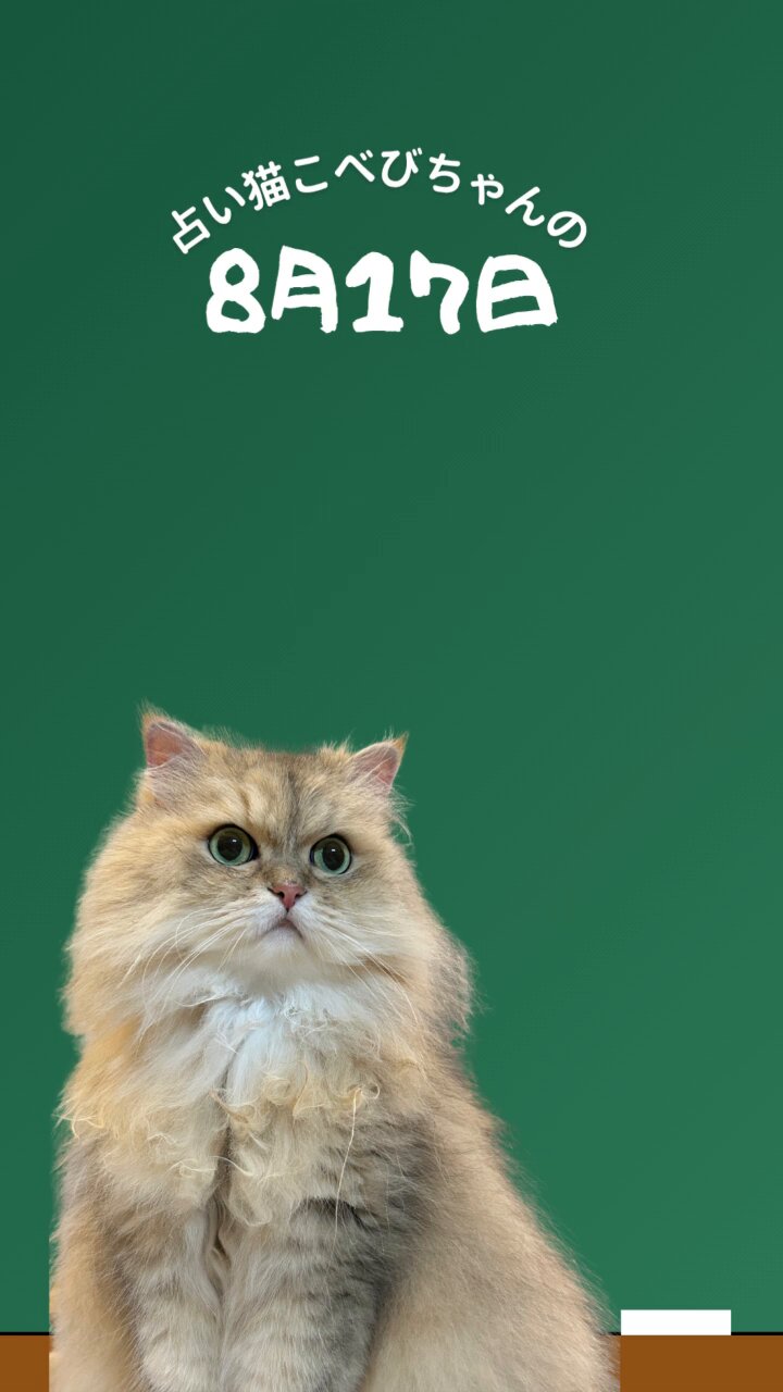 ⭐︎ランランページひ⭐︎のびねこ他⑥ 桜野カレン on X: 