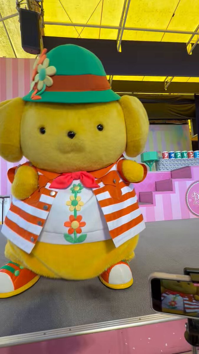 こむぎちゃん♡ こむぎちゃん on X: 