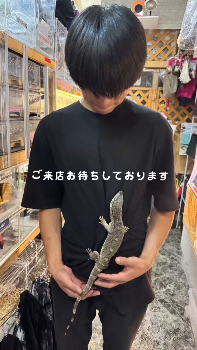 新品未開封　アフリカン・ロック アフリカンロックモニター - Search / X