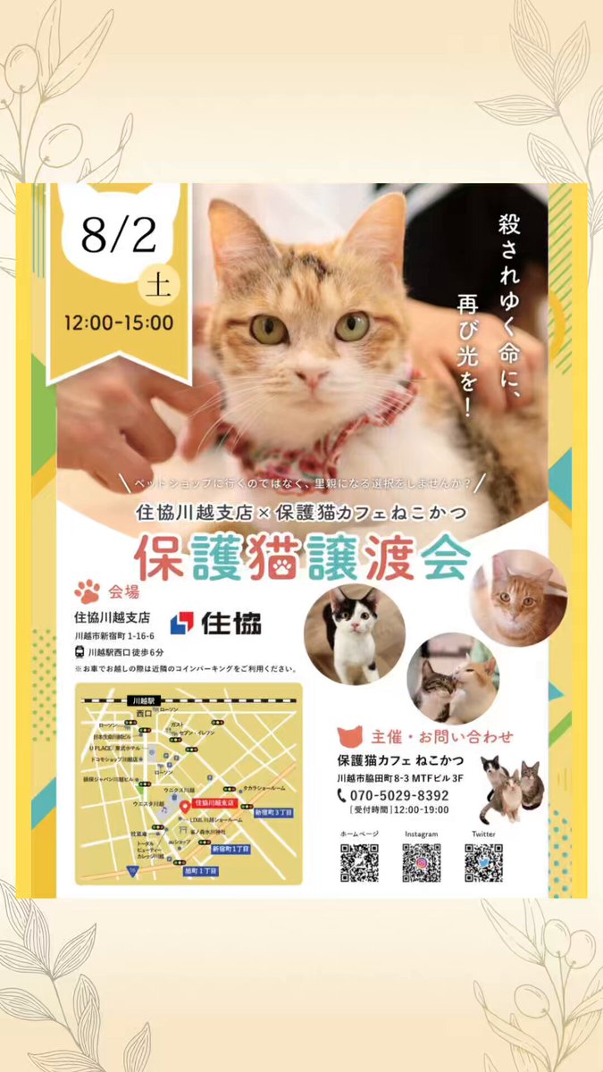 ねこねこ横丁 (@nekoyoko_web) / X
