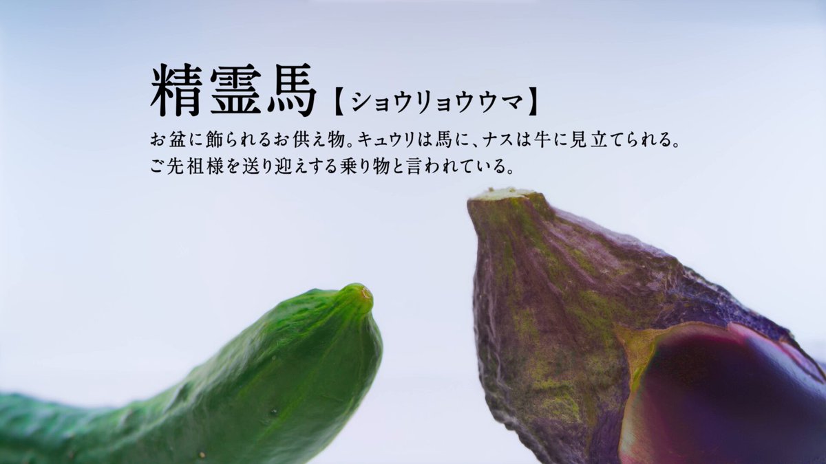 寒天使ちゃんページ ?media_id=3688043327284152279