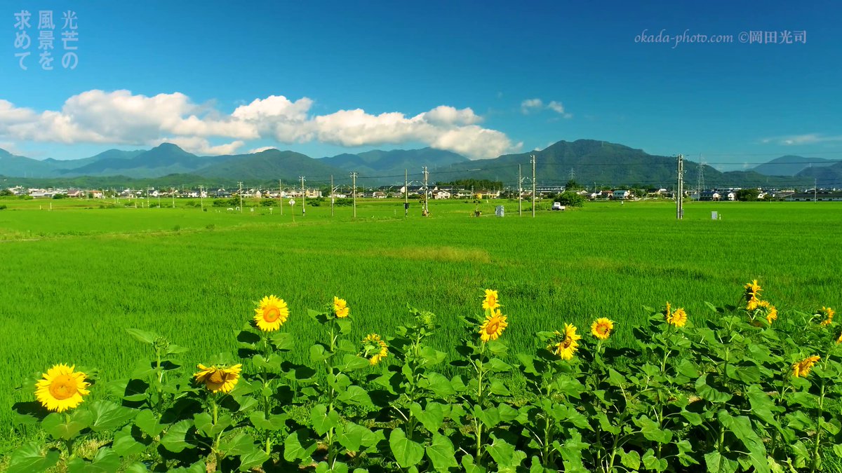 感謝の気持ちを込めて - Search / X