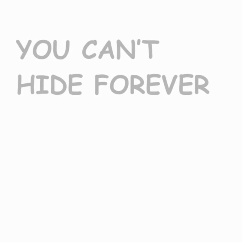 探偵のようなアライグマをフィーチャーし「You Can't Hide Forever（永遠に隠れられない）」と書かれたRugCheck.xyzのキャンペーン画像