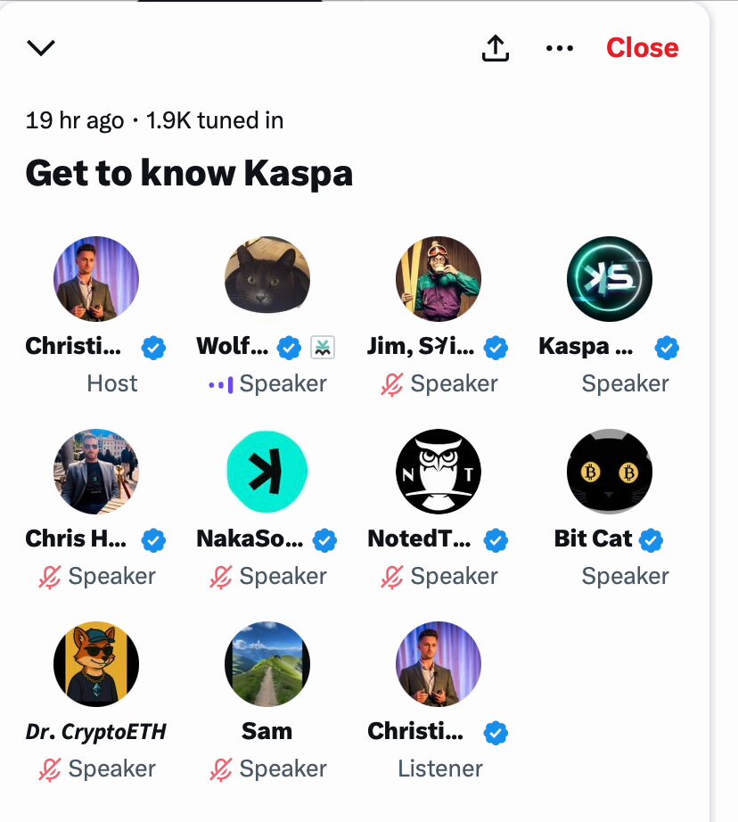 Kaspa blockchain innovation