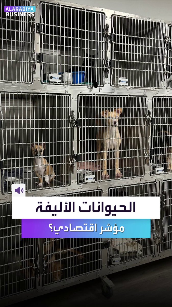 هل سمعتم بمؤشر الحيوانات الأليفة وتأثيره الاقتصادي؟. في أميركا يتخلّون عن حيواناتهم المنزلية ولذلك إشارة اقتصادية سيئة.. إليكم لماذا؟ _Business 