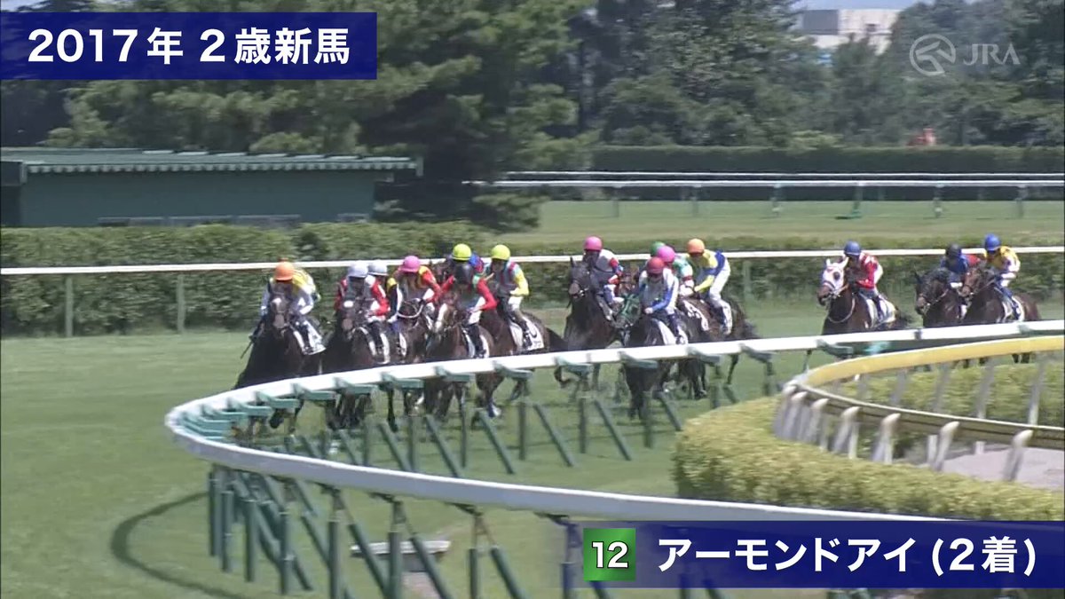 JRA第2回ジョッキーマスターズ特別記念セット 第2回中山競馬(2025年)