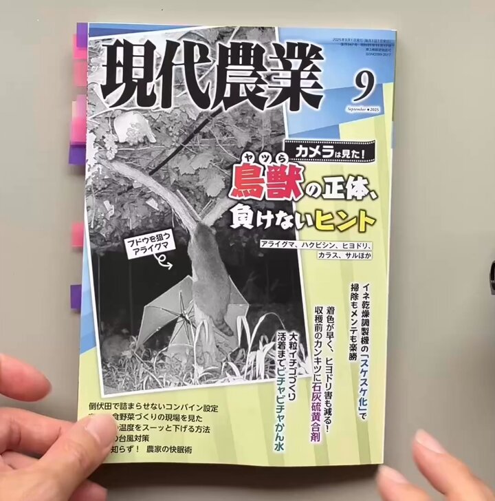 現代農業　30冊 91LC4wyen-L.jpg