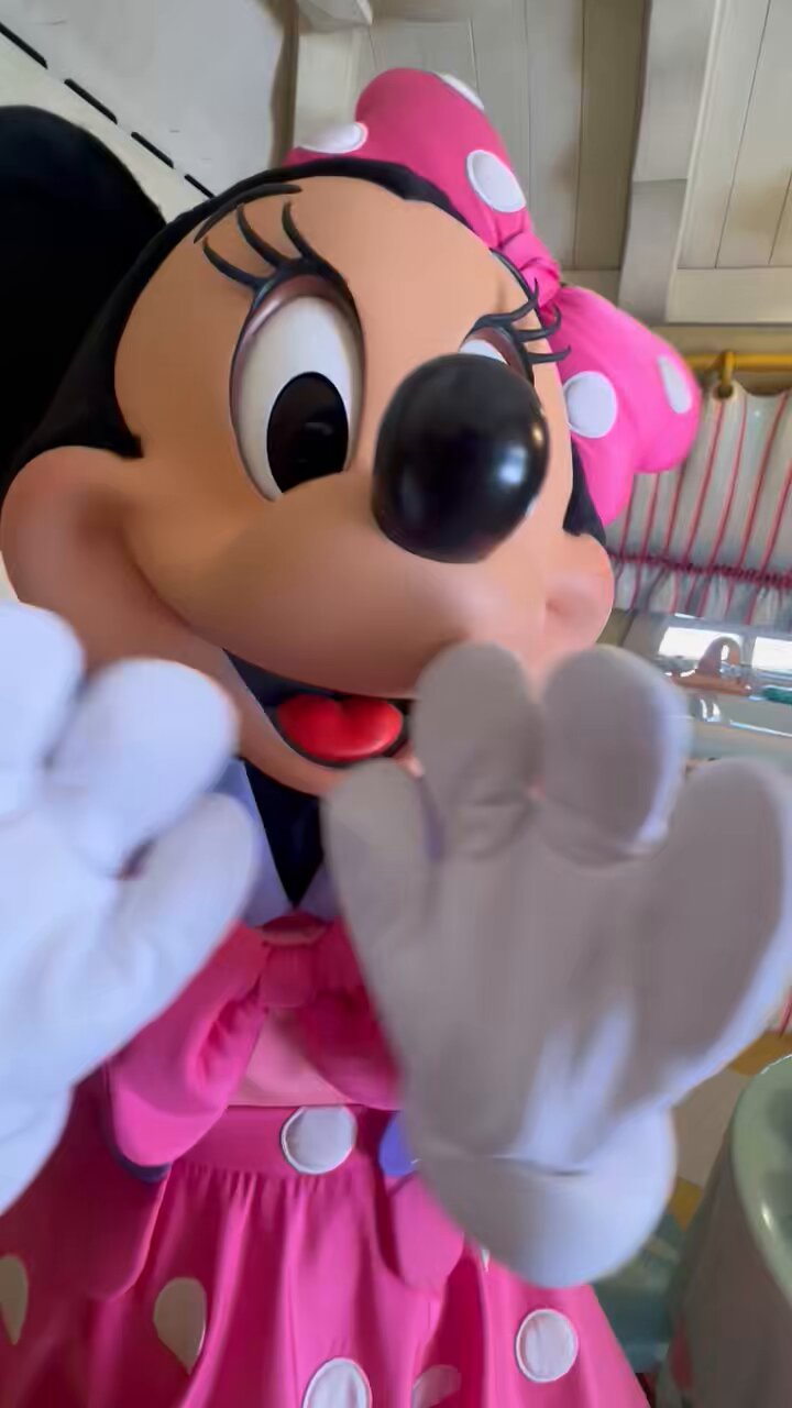 ★お急ぎ便★ミニー様♡ 三月うさ🐰 on X: 