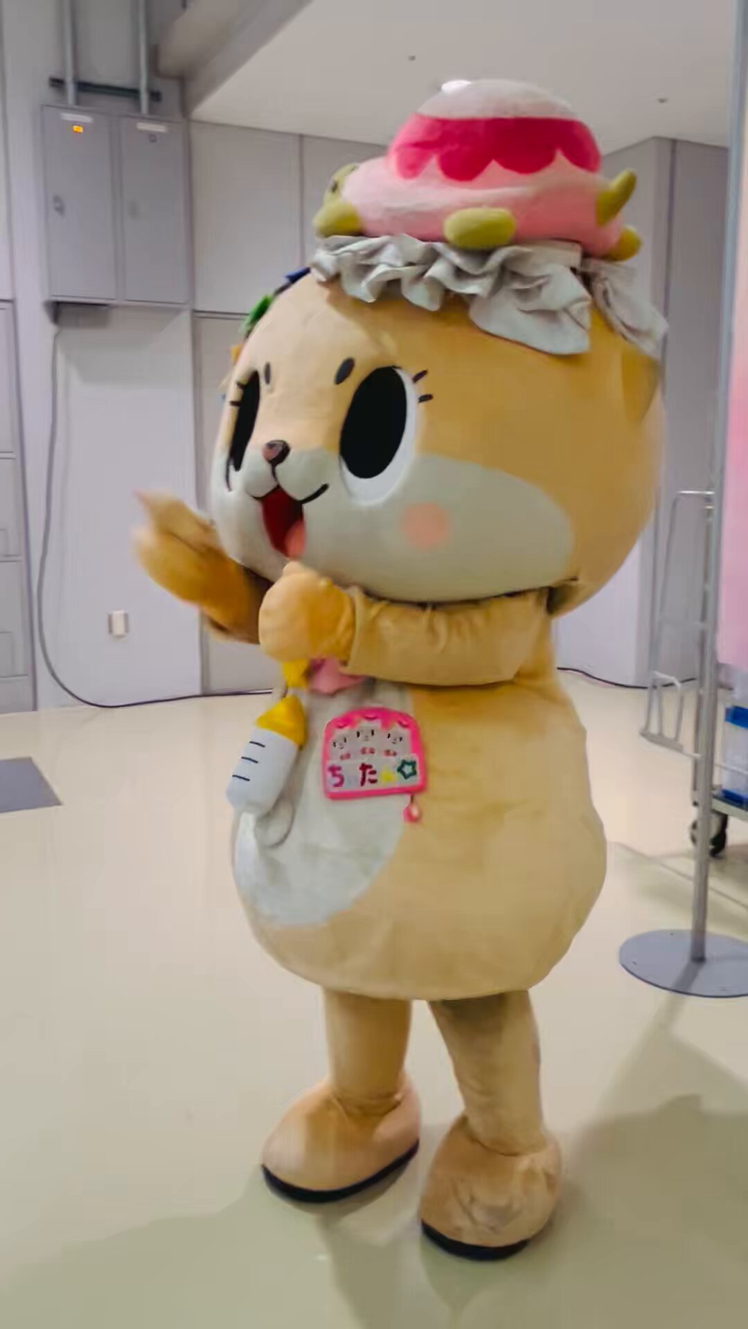❣️チビたん٩(๑❛ᴗ❛๑)様 リクエスト 3点 まとめ商品 F3NWI68a0AAvkNP.jpg:large
