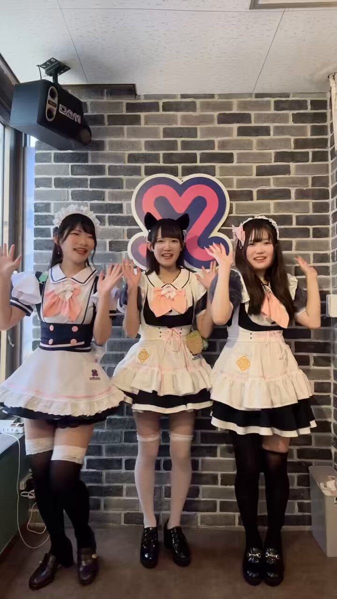 しか🦷めいどりーみん 10/11(日)ファイナル🪥 (@shika_mdreamin) / X