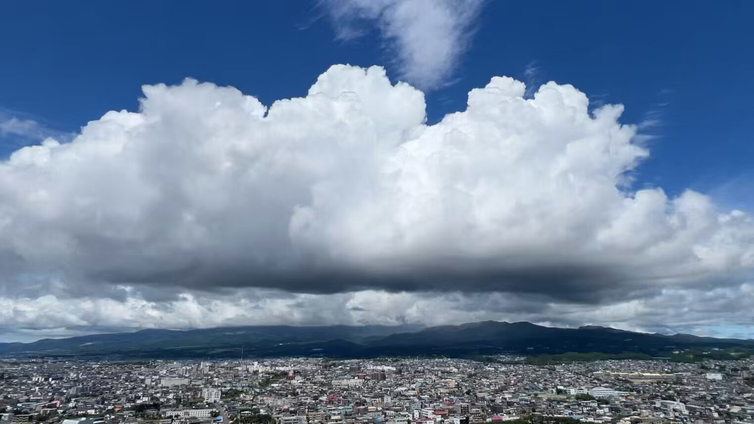５連の雲 今日の五稜郭の桜 【散り始め🌸】 4月28日に満開になった五稜郭