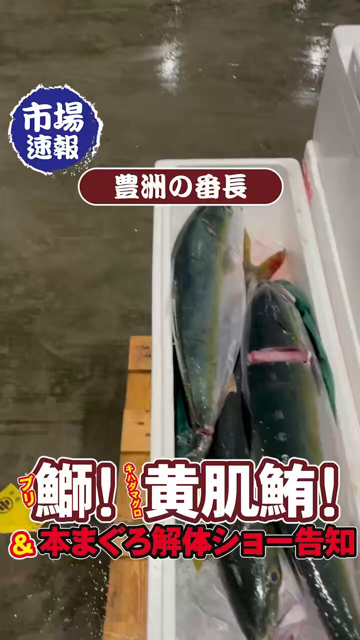 ビックヨー 確認ページ 新鮮激安スーパー ビッグヨーサン – 横浜・町田を中心に、神奈川