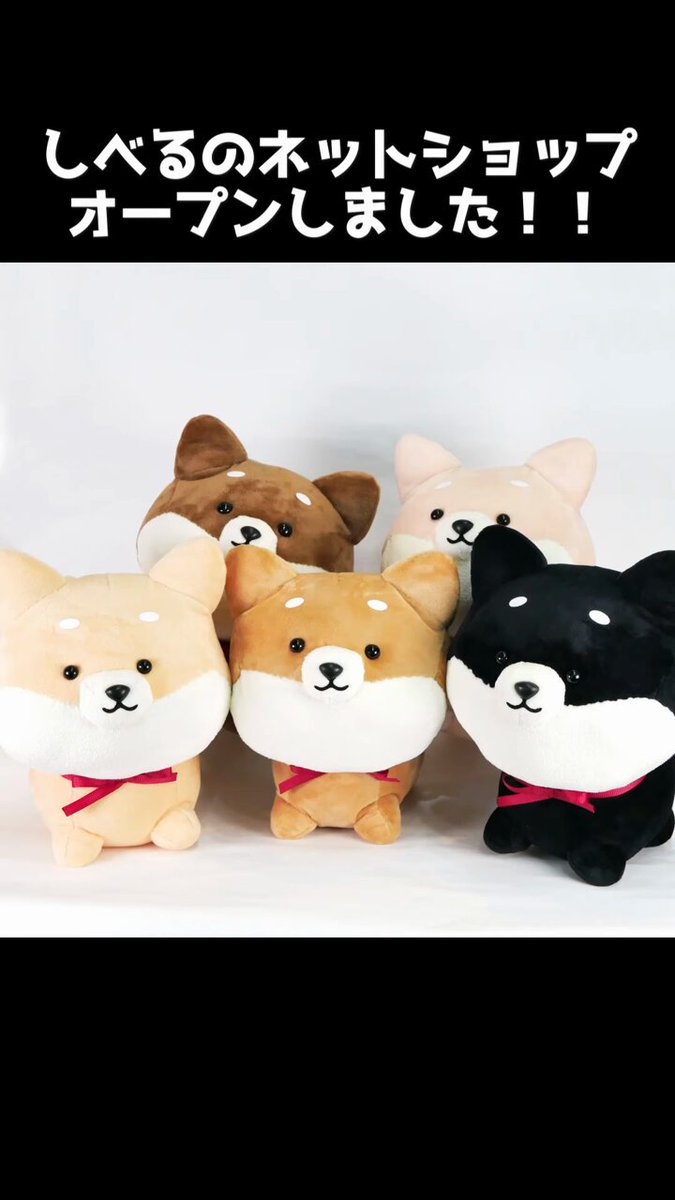 作家　テディベア　柴犬 くまのぬいぐるみ - 柴犬・豆柴犬】テディーベア・teddy bear