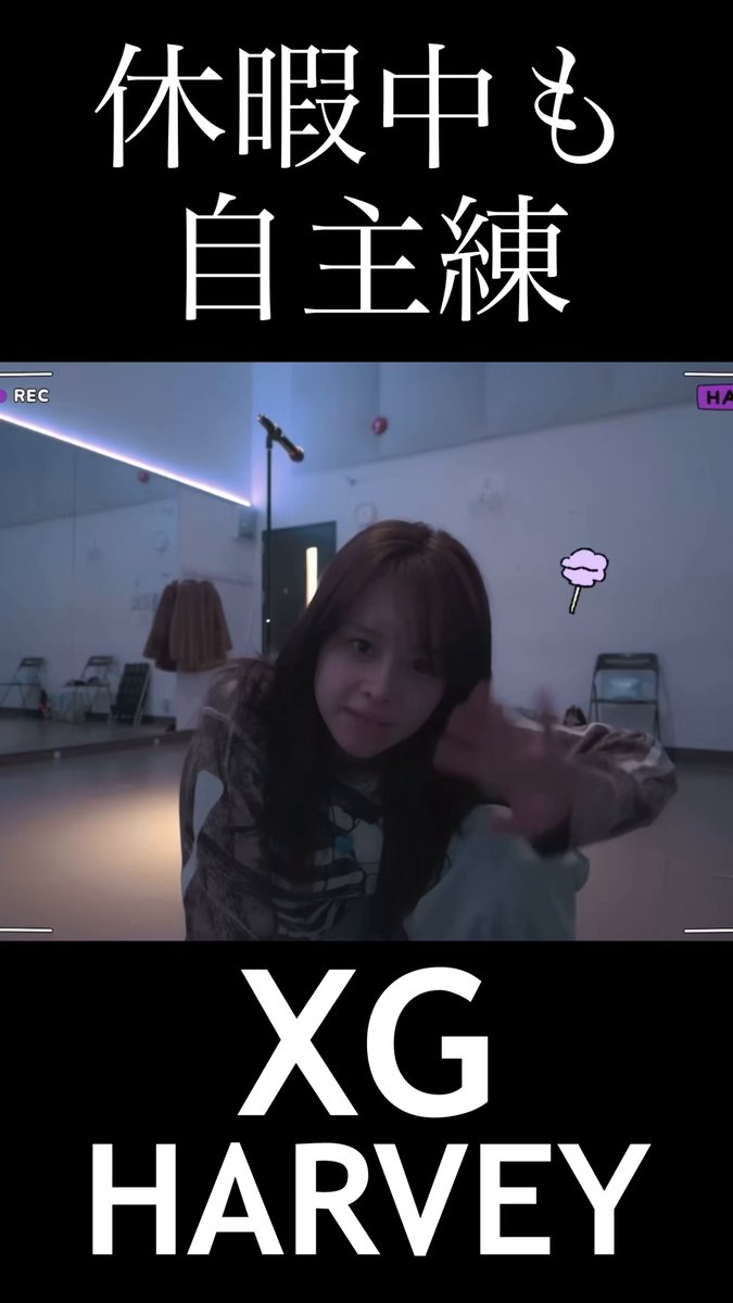 XG HARVEY えいみたん20点セット XG HARVEY えいみたん20点セット