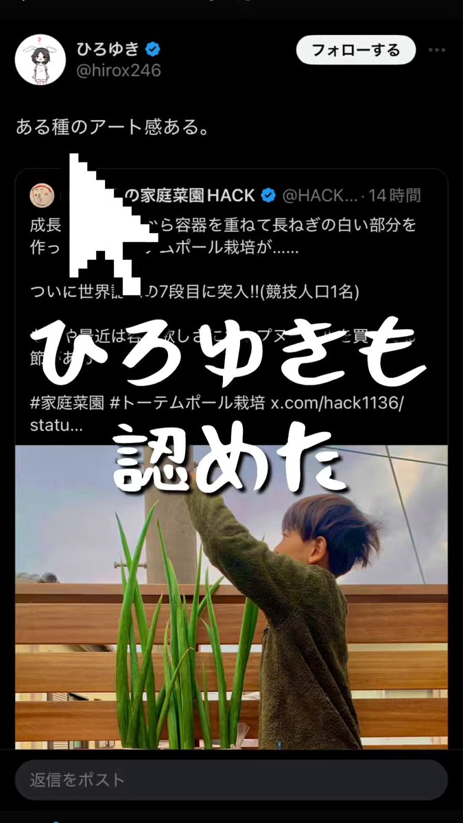 蒔いた種から３ｉｎ１Ｔ ぽたろうの家庭菜園HACK (@HACK1136) / X