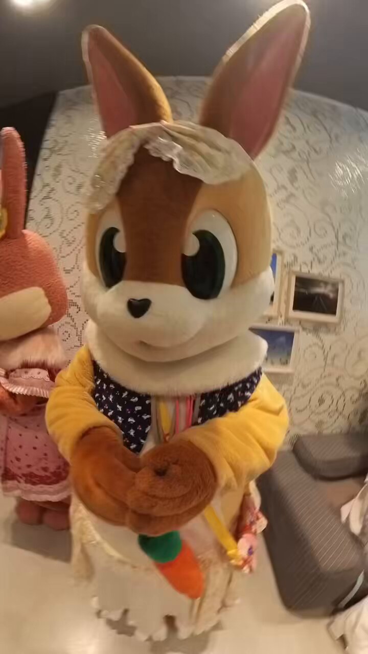 ラシュトン✳︎Rushtonうさぎさん ラシュトン✳︎Rushtonうさぎさん ラシュトン✳︎Rushtonうさぎさん