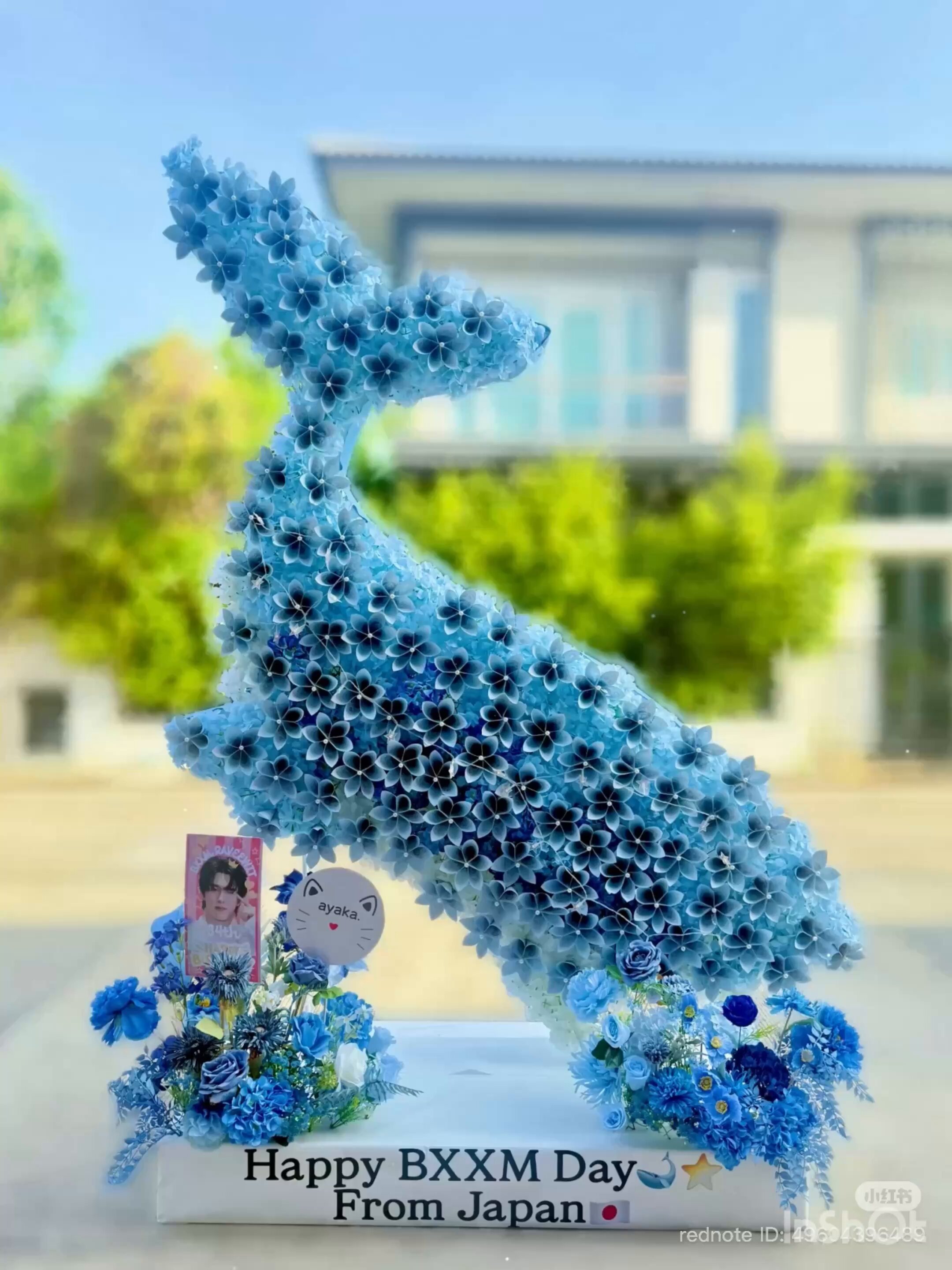 ♥︎ramubaby♥︎ ayaka. on X: 