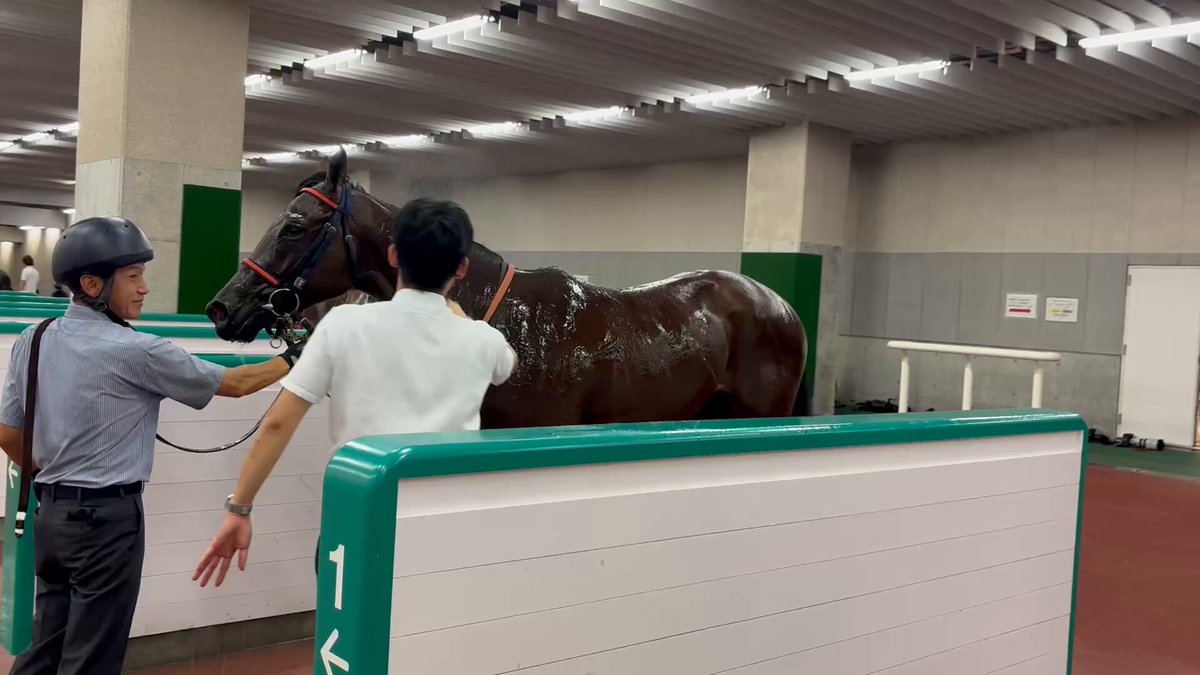 エルメス 新作ホースクラブ♡カシシル♡HORSE CLUB エルメス 新作カシシル ホースクラブ♡HORSE CLUB