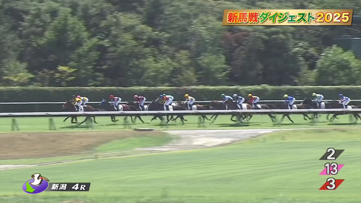 JRA第2回ジョッキーマスターズ特別記念セット WASJ】岩田望来騎手が大激戦を制して個人戦優勝 チーム戦は