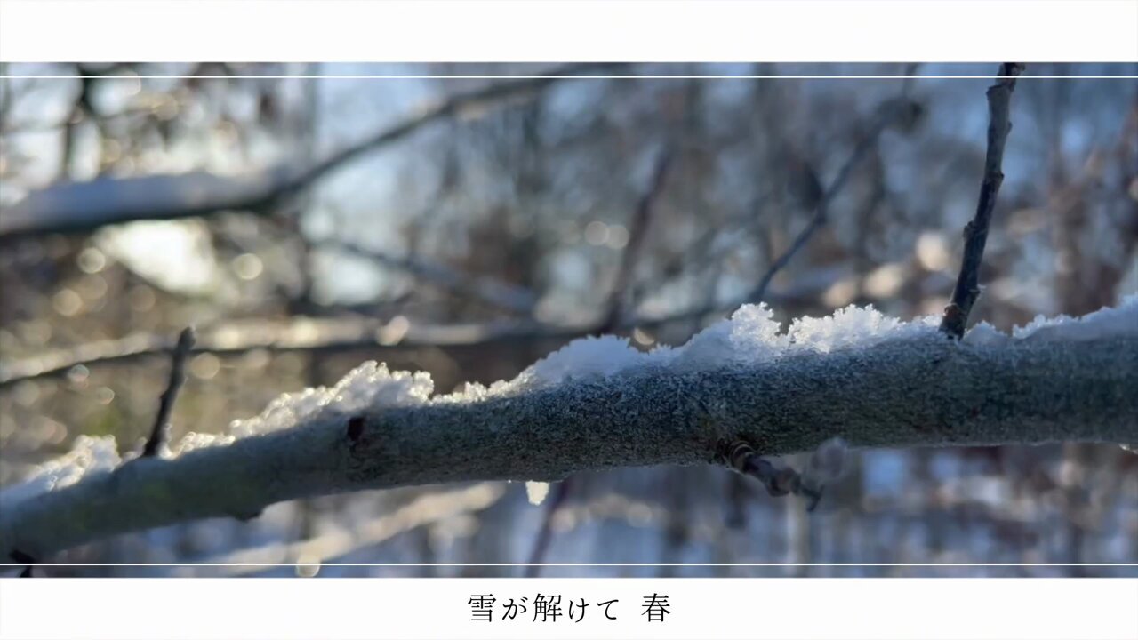 雪ページ•*¨*•.¸♬︎ 𝙝𝙪𝙗𝙗𝙡𝙚🛰️✨ on X: 