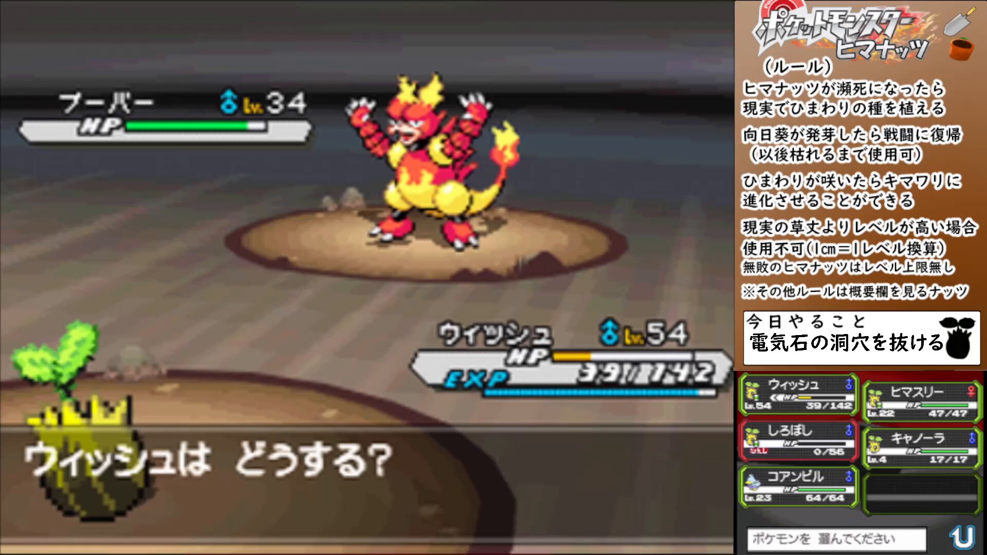 二葬式洗濯機様 リクエスト 2点 まとめ商品 unidy-y_7070227