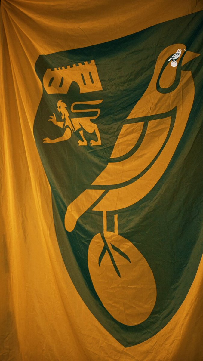入手不可能Norwich City Tie 愛称カナリーズ 希少 Canaries Japan🇯🇵💛💚 (@canaries_jp) / X