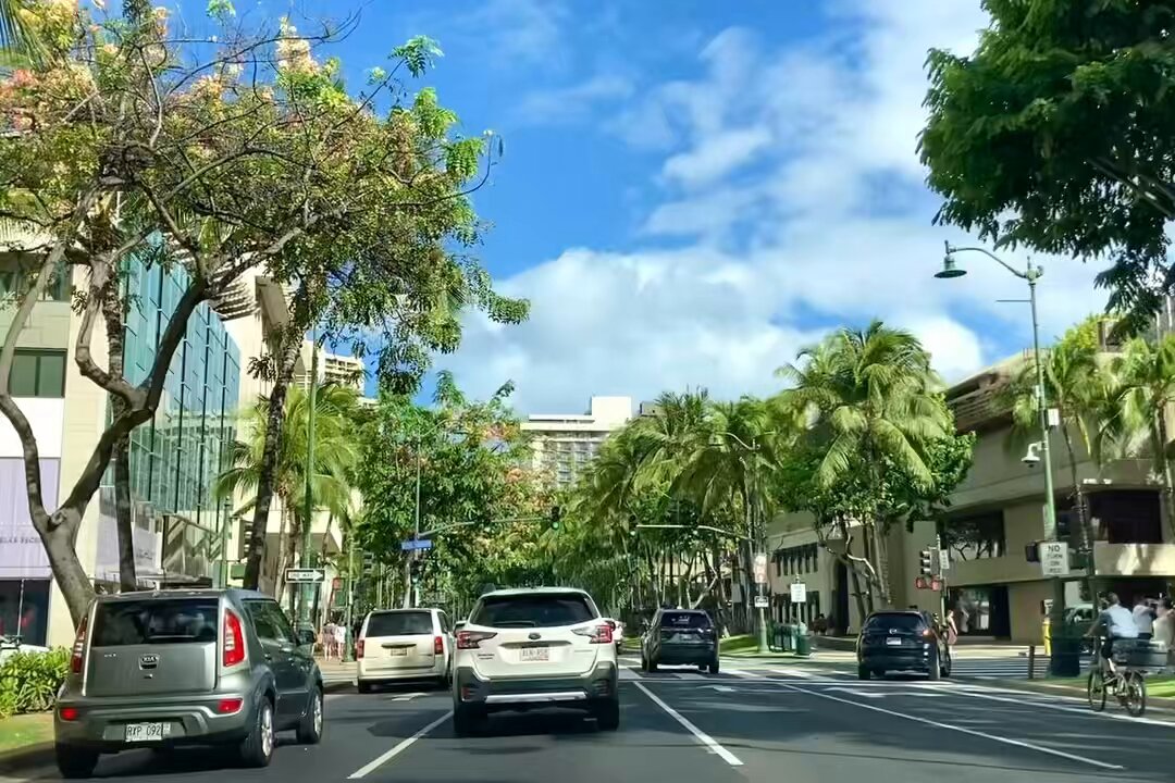アロハセブン【公式】 (@aloha7inc) / X