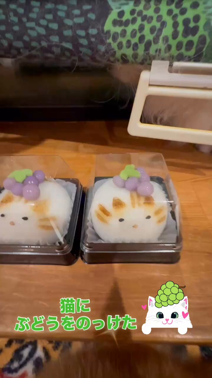 ねこ饅頭です。 後ろ姿の愛らしいねこ饅頭と龍眼六季でほっこり時間 | 茶と猫と。
