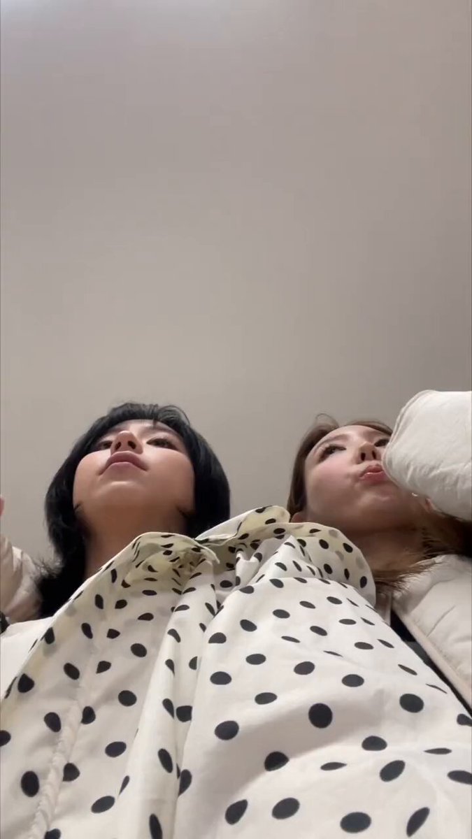 かめちゃん様 かめちゃん🐢 (@kamechan__7) / X