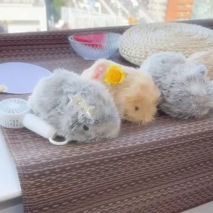 公式】Moflin（モフリン）｜感情が育つAIペット (@casio_moflin) / X