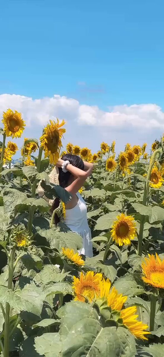 Video oleh @amahoma65sweet