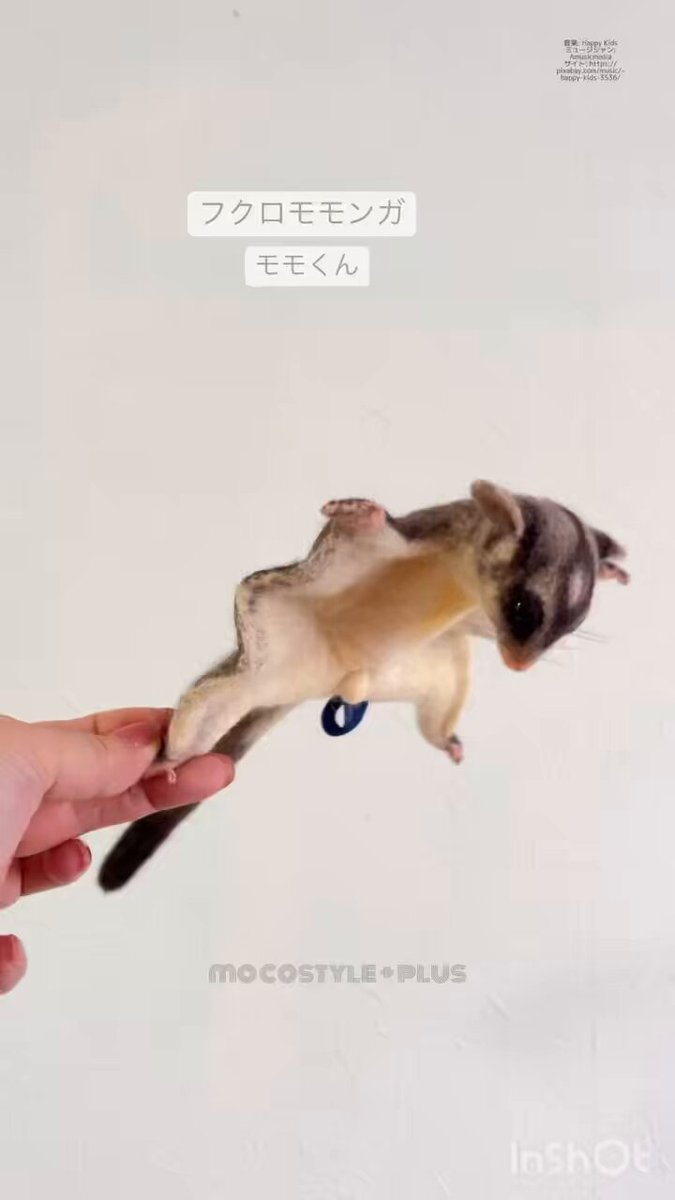 羊毛フェルト　フクロモモンガ 羊毛フェルト 人形『 フクロモモンガ ( Sugarglider