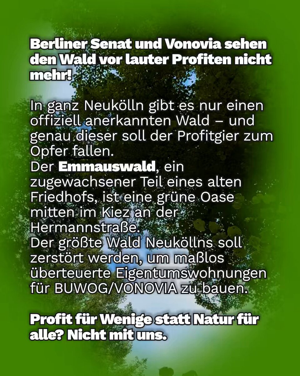 Tweet media two