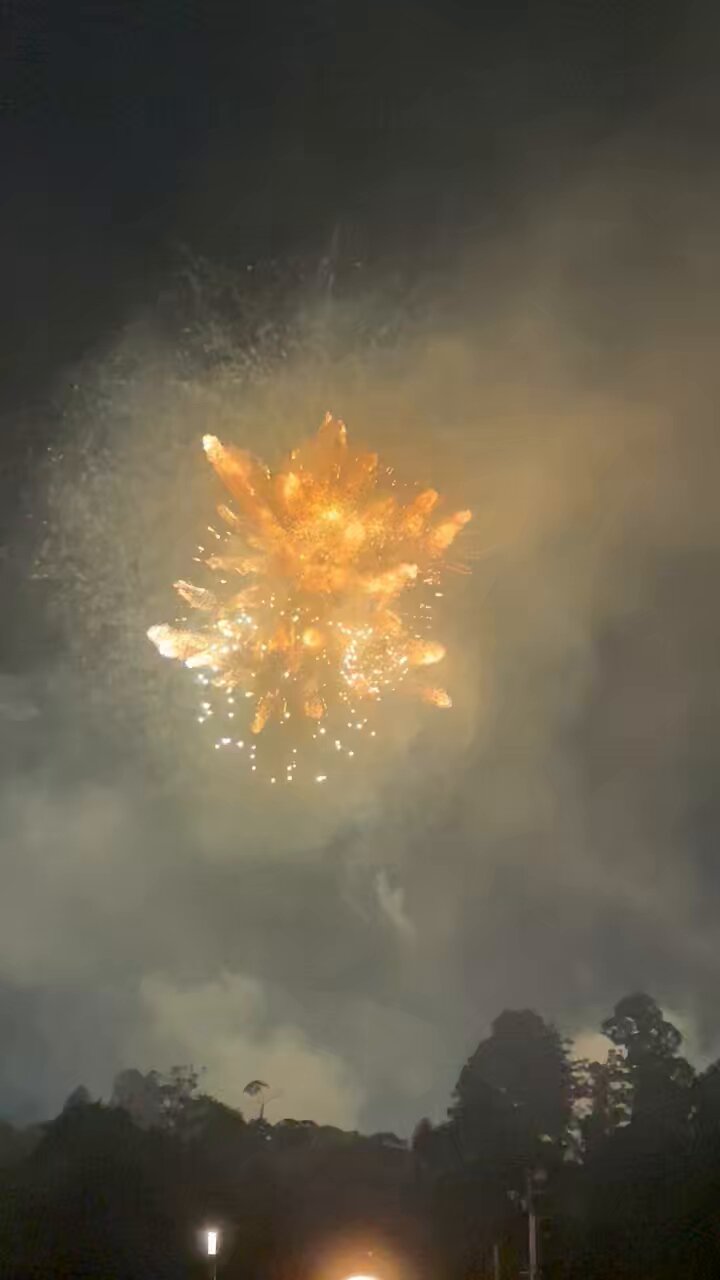 ♡奈月花火♡ 花火ーめっちゃキレイ